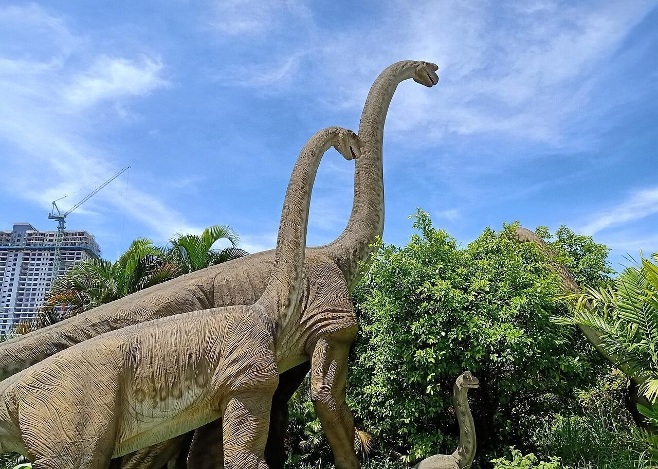 Answer #9: What is herbivore?
